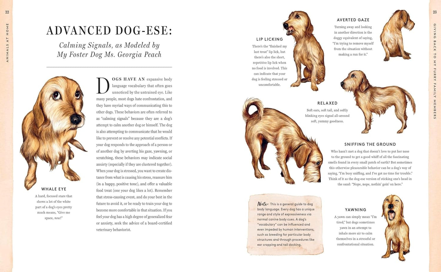 Do Unto Animals: A Friendly Guide to How Animals Live, and How We Can Make Their Lives Better