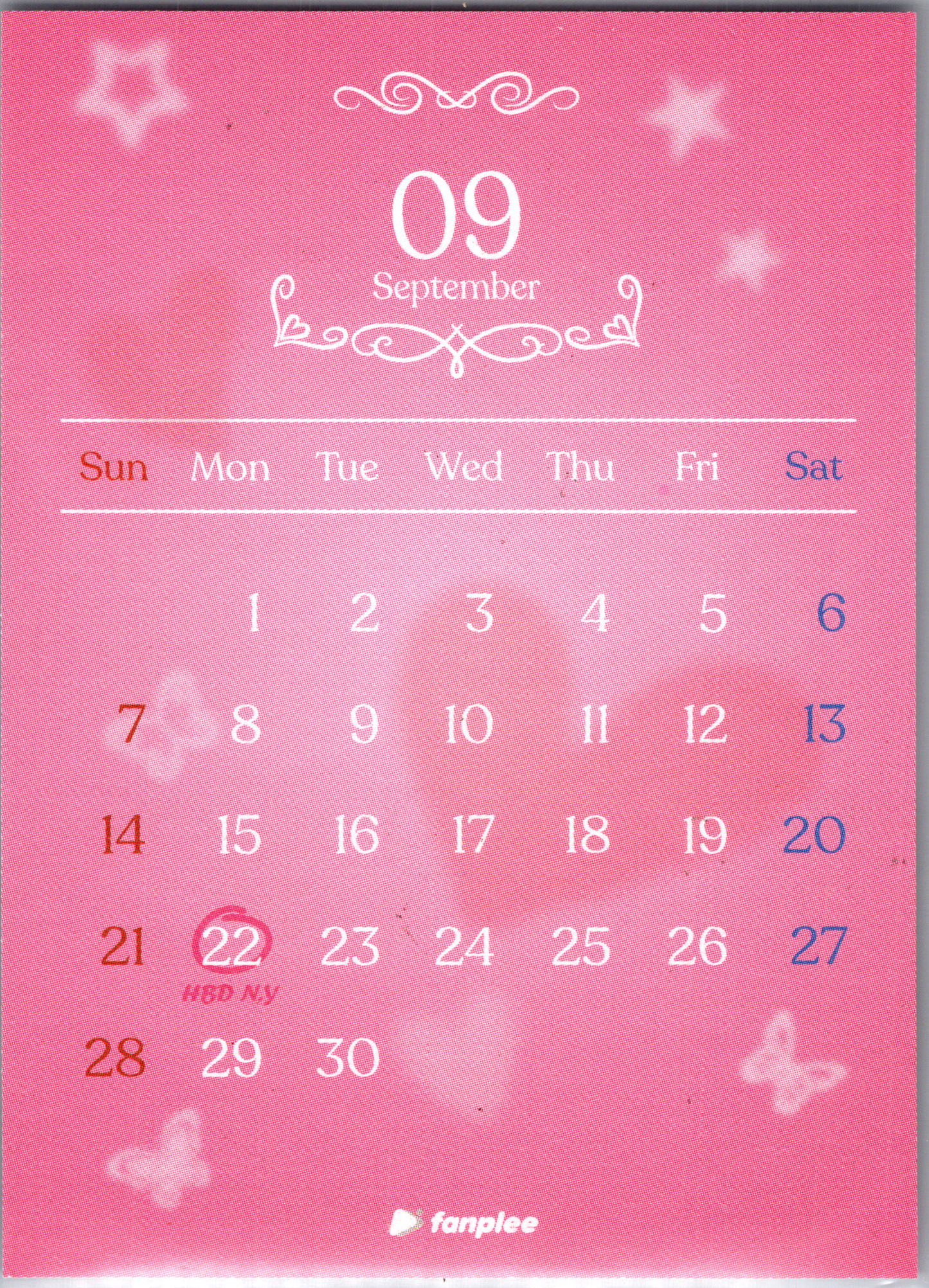 Nayeon Twice 2025 Collector's Calendar Photocard