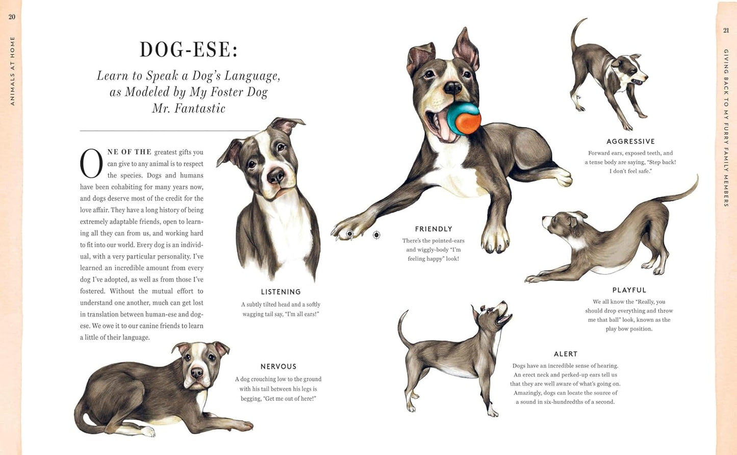 Do Unto Animals: A Friendly Guide to How Animals Live, and How We Can Make Their Lives Better